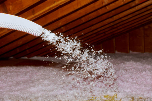 Best Insulation Removal  in Brooklyn, IN