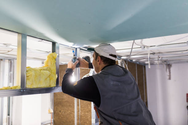 Best Commercial Insulation Contractor  in Brooklyn, IN