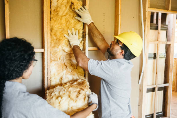 Best Insulation Inspection Services  in Brooklyn, IN