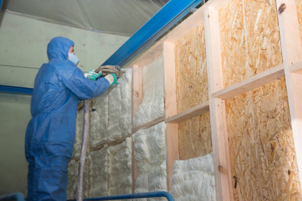 Best Insulation Removal  in Brooklyn, IN