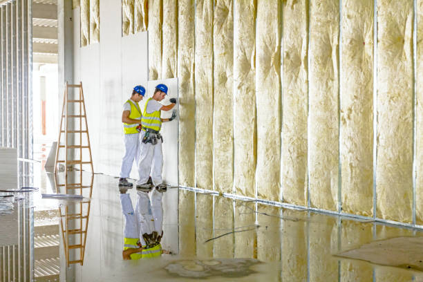 Best Attic Insulation Installation  in Brooklyn, IN